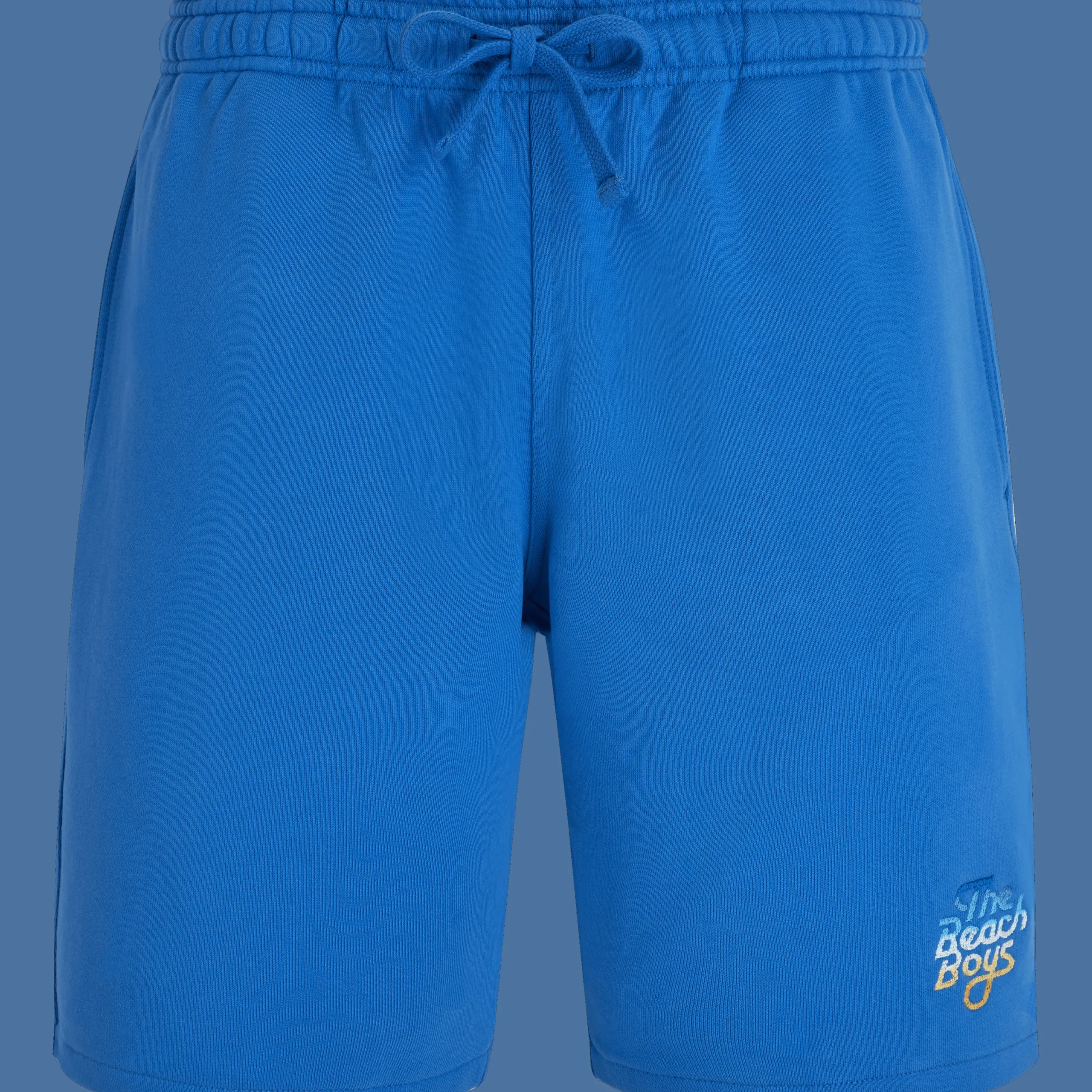 Store Vilebrequin Men Bermuda Gradient Embroidered Logo - X The Beach Boys Earthenware/Blue
