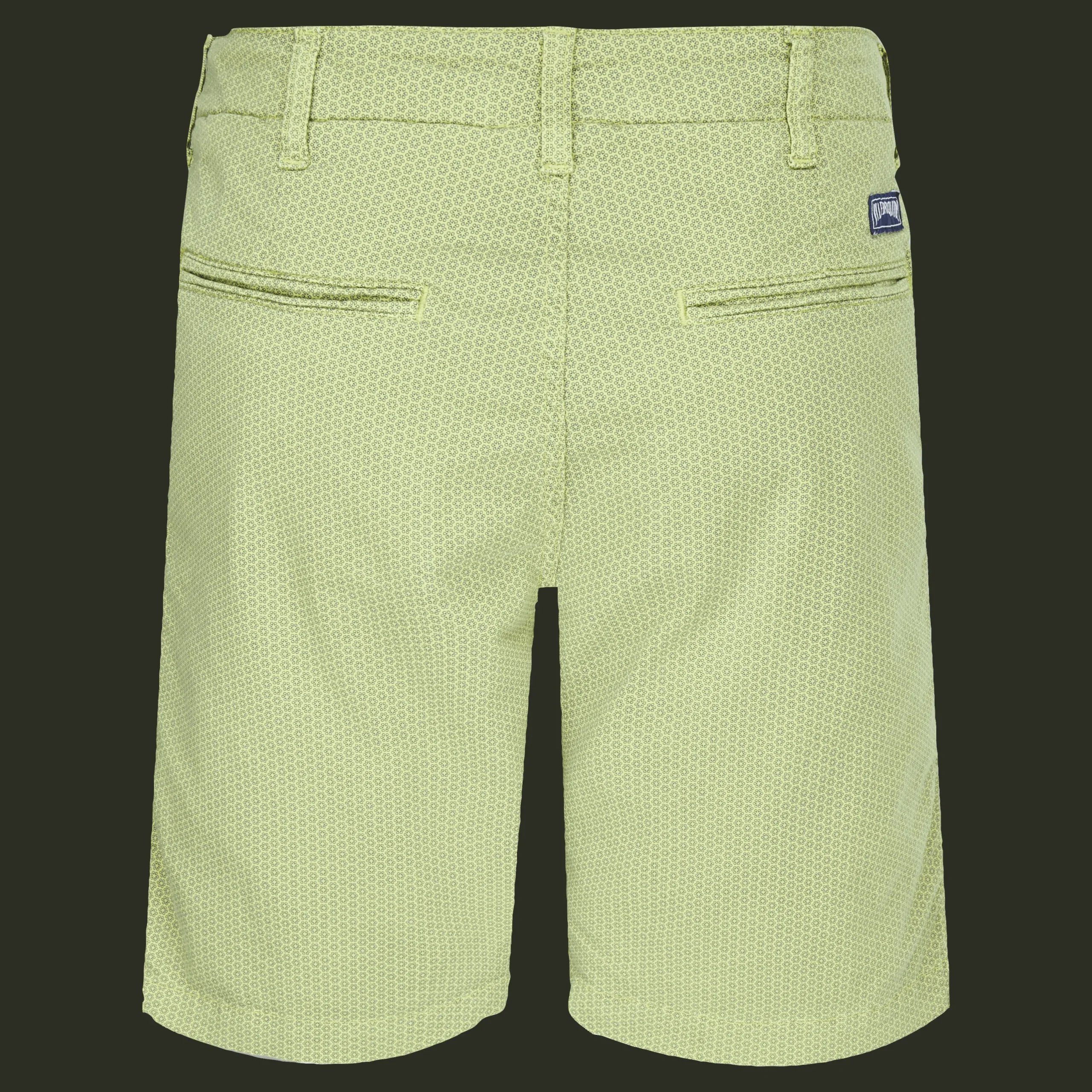 Online Vilebrequin Men Cotton Printed Bermuda Shorts Micro Flower Lemongrass/Green
